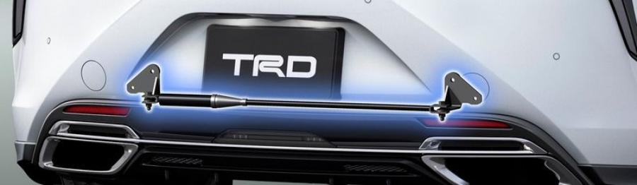 Детали экстерьера Lexus LC500 Convertible by TRD 2020 года  (JP) (фото 8 из 16)